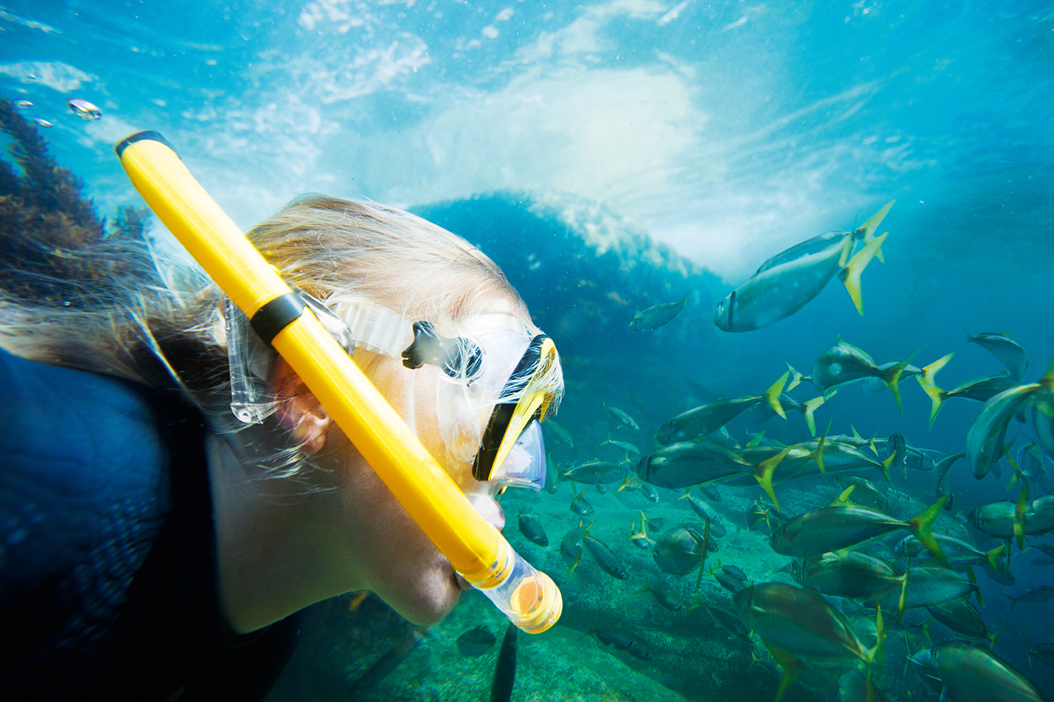girl snorkeling in the ocean with fish